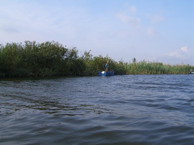 delta rosu 2005 - rosu-2005-007.jpg